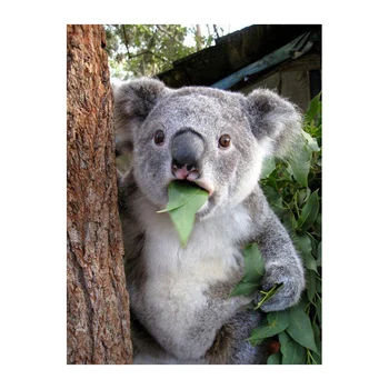 Diamond výšivky koala láska vyšívanie, cross stitch nastaviť úplné námestie diamond diy diamond maľovanie