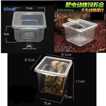 33/10/7PC z plaz kŕmenie box spider larva priehľadného plastu kŕmenie box hmyzu chov nádobe, aby sa zabránilo prison break