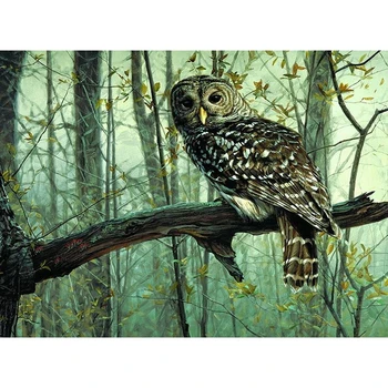 Night Owl Zvierat DIY Digitálne Maľovanie Podľa Čísel Moderné Nástenné Umelecké Plátno Farba Dovolenku Dar Domova Veľká Veľkosť