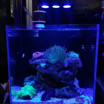 LED Akvarijné Svetlo - Aqua Rytier 30W Morské Osvetlenie 3W CREE Čipom Dotykové Ovládanie pre Koralový Útes Fish Tank HIPARGERO