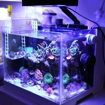 LED Akvarijné Svetlo - Aqua Rytier 30W Morské Osvetlenie 3W CREE Čipom Dotykové Ovládanie pre Koralový Útes Fish Tank HIPARGERO