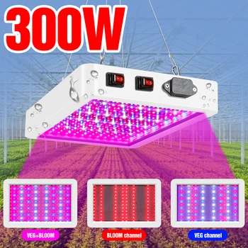 Celé Spektrum LED Rastúce Svetlo 300W 500W LED Phyto Lampa 220V LED Rastlín Svetlá Pre Skleníkových Byliny Rastú Stan Fitolampy EÚ Plug