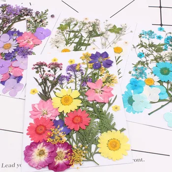 Stlačené Kvet Zmiešané Organické Sušené Kvety DIY Umenie Kvetinový Dekoroch Kolekcie Darček GHS99