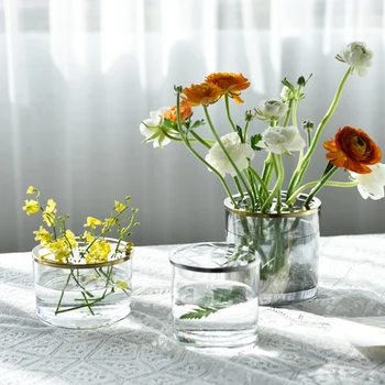 Nordic Jednoduché Kreatívne domáce kvet usporiadanie váza Dekoratívny pohár dekorácie obývacia izba skláreň Vázy Stola Hydroponické