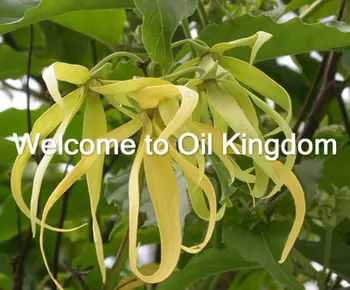 11.11 nízke zľava!!!!! 88% čisté rastlinné silice Ylang-Ylang olej 2ml Indonézia dovoz Zubov Lesklý