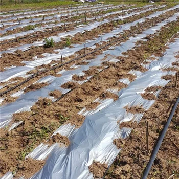 Nový Príchod 0,02 mm Šírka 1M Poľnohospodárstvo Silver Black Plastové Kompost Skleníkových Udržať v Teple Organické Hmyzu Kontroly Zemi Film