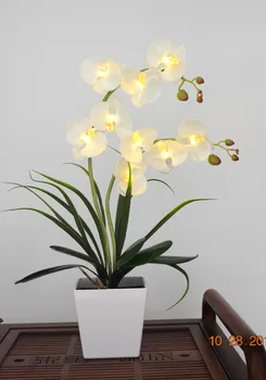 9 LED Batérie Osvetlené Kvet orchidea Phalaenopsis v hrnci Orchidea, Kvet Bonsai Dovolenku Svadobné Domáce Dekorácie Darček k Narodeninám