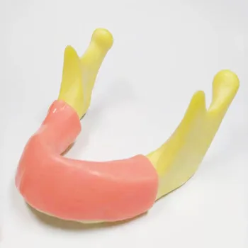 1 Kus Zubný Implantát Praxi Zuby Model s Imitáciou Kosti (Vŕtanie) Silikónové Mäkké Gumy (Rezanie/Šitie) Dolnej Čeľuste