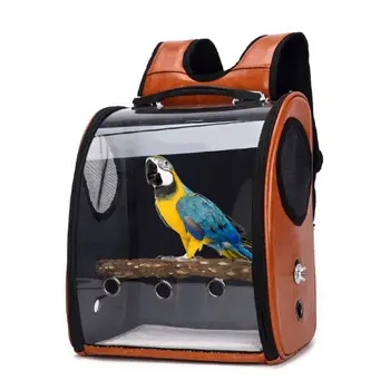 Papagája Vták Dopravcu Cestovná Taška Priestor Kapsule Priehľadný Kryt Batoh Priedušná Vonkajší