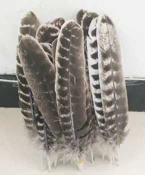 Wild Turecko Perie,50Pieces-PRÍRODNÉ VYLÚČENÝ Wild Turecko Kôl Krídlo Brko Perie 8-10inches 20-25 cm,ping